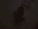 hamster obstacle course GIF via giphy.com