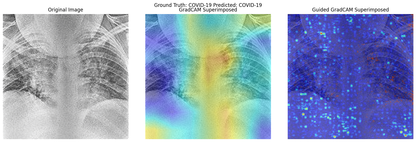 Activation Map Visualisation