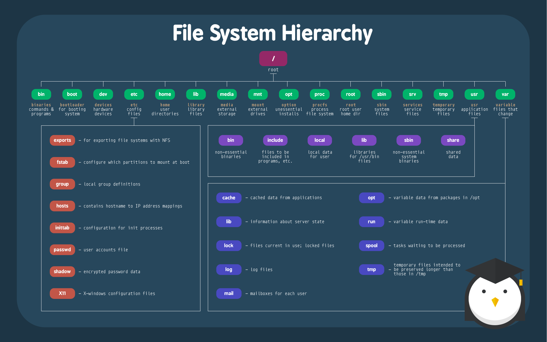 687474703a2f2f696d6775722e636f6d2f6b647135594f4a2e6a7067 Cấu trúc thư mục Linux