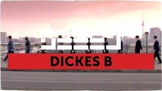 Seeed - Dickes B  official Video 