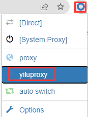 Proxy SwitchyOmega