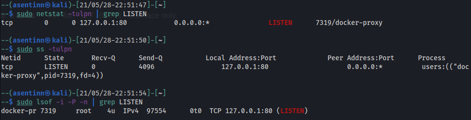 Open ports after docker run