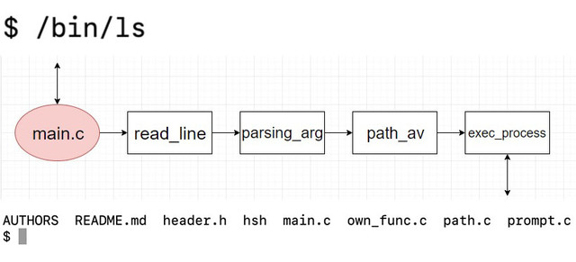 Flowchart-shell-copia