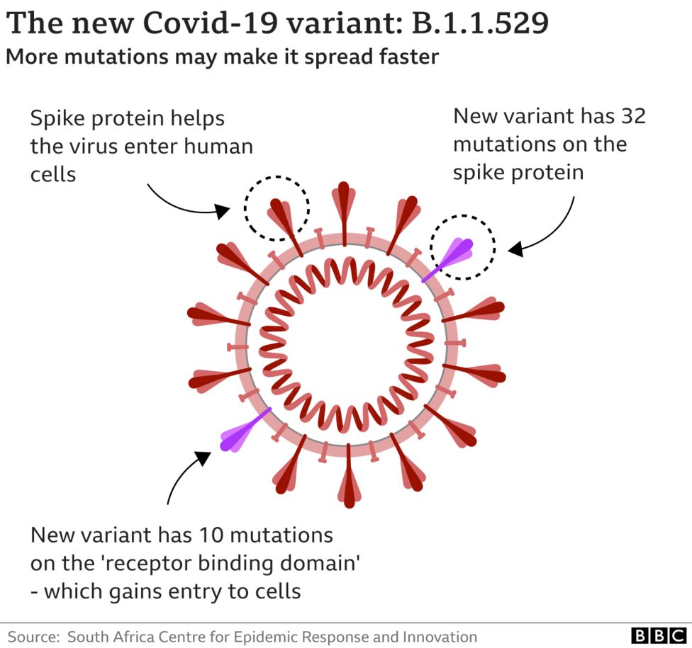 The new Covid-19 variant B.1.1.529