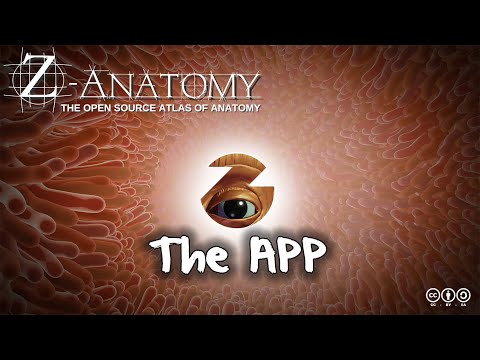 Z-Anatomy video