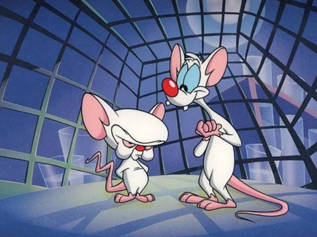 Pinky and the Brain