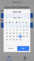 Date picker modal