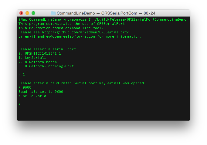 Command Line App Screenshot