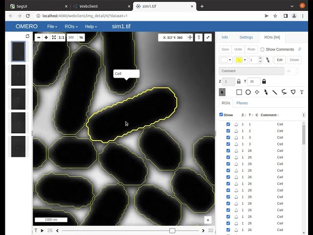 Import & Export for OMERO Tutorial