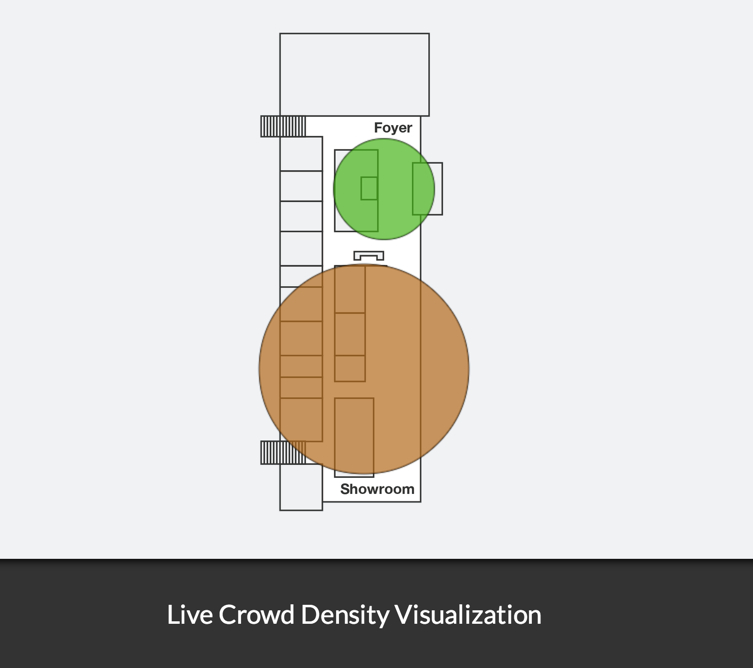 Live Crowd Density Visualization