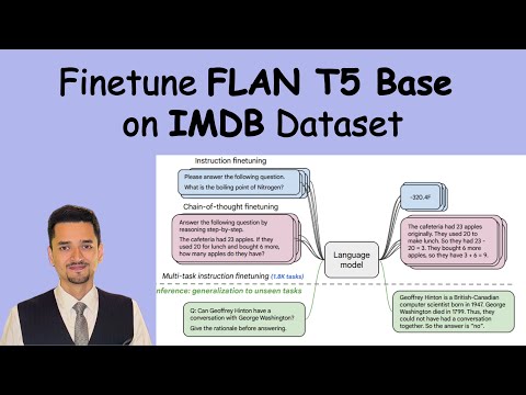 Flan T5 BASE Finetuning