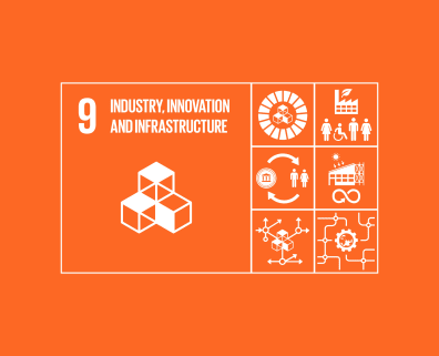 sdg9