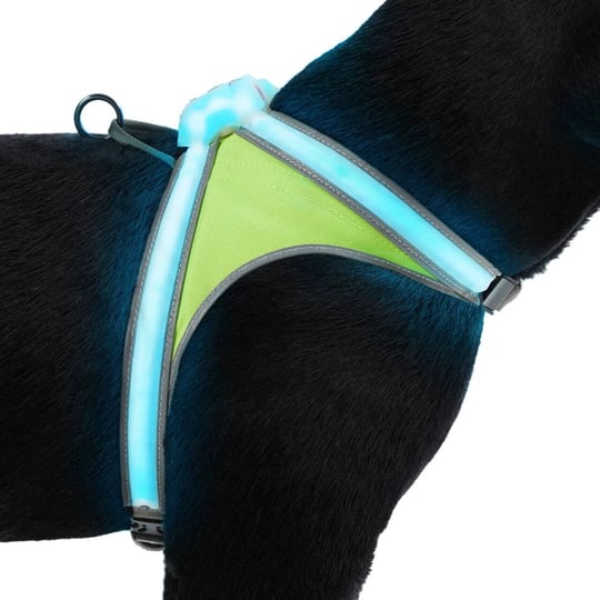 noxgear-lighthound-led-illuminated-reflective-dog-harness-large-1