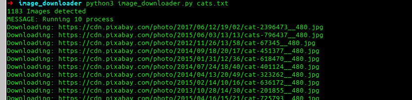 cat images downloading