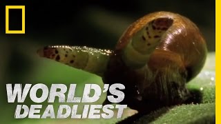 World's Deadliest - Zombie Snails