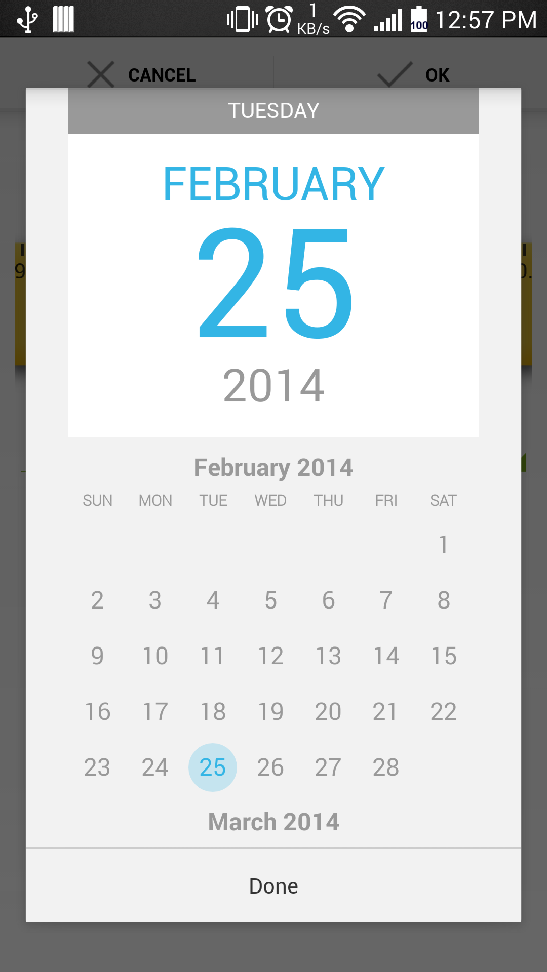 DatePicker