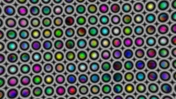 TEST: Colored Circles