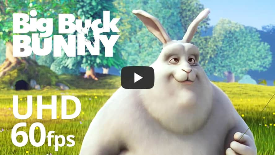 Big Buck Bunny