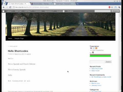 YouTube Video