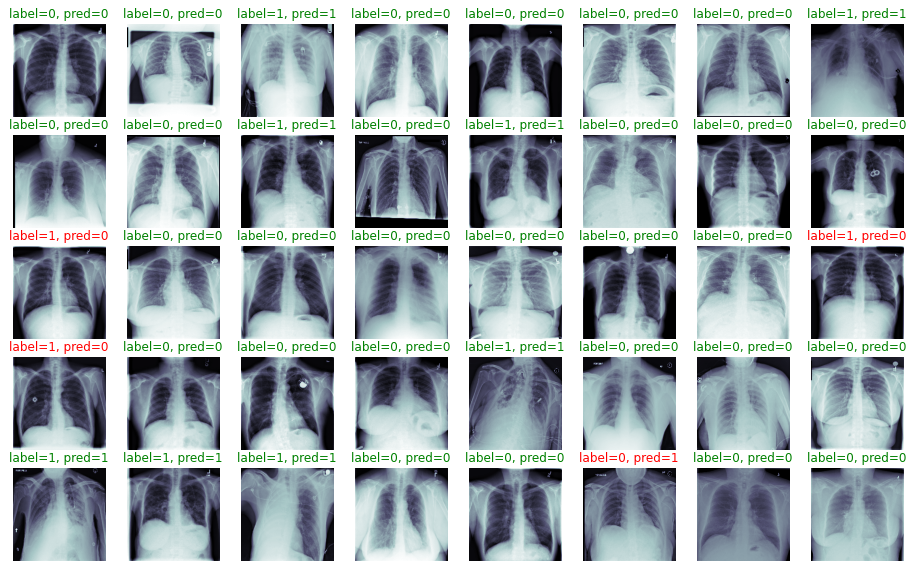 pneumonia-validation-examples.png