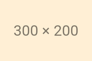 An example image which says "300x200", which will be scaled to half that size in supporting browsers.