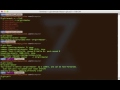Video demo