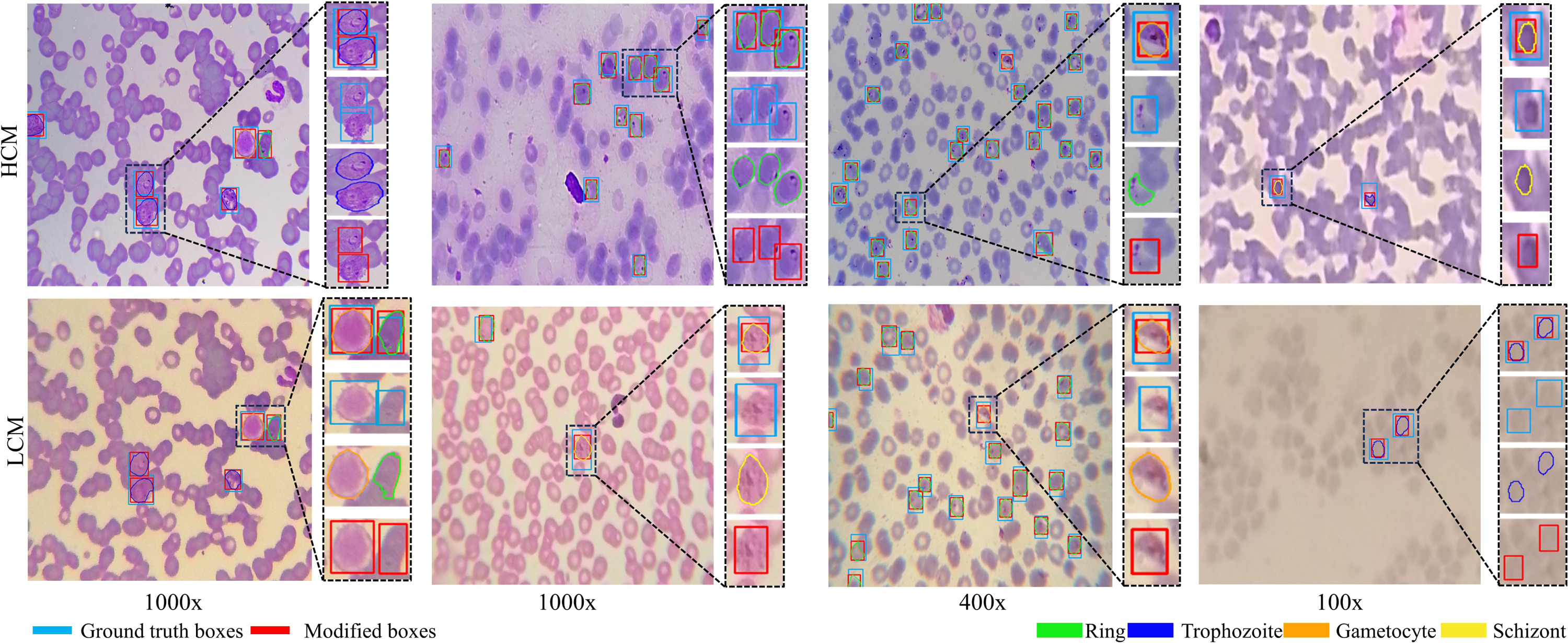 GitHub - Mr-TalhaIlyas/FARS: Fourier Adaptive Recognition System (FARS)