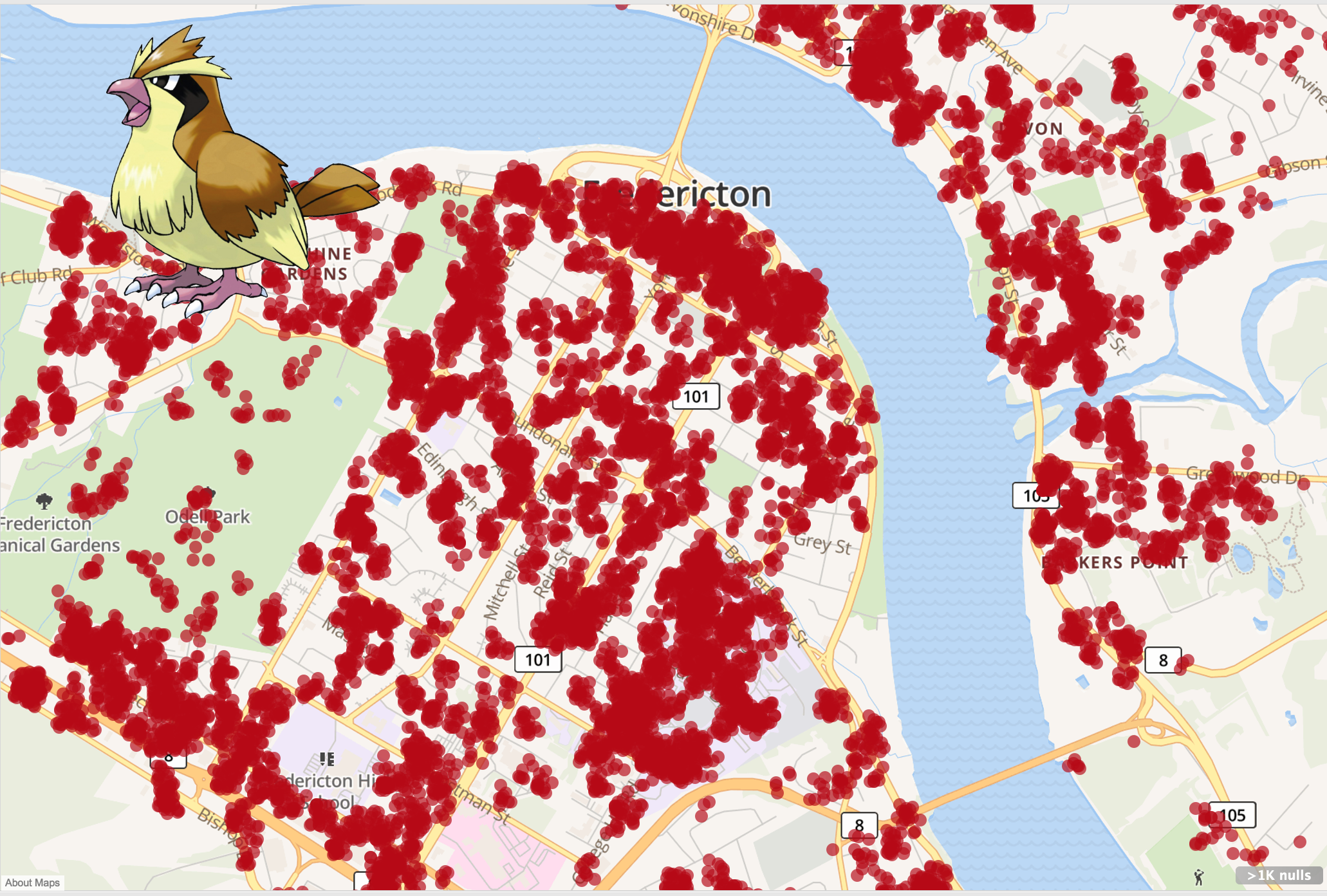 Pidgey spottings on a map