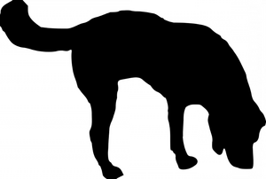 image of dog sniffing