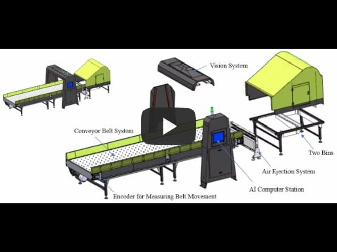  Sorting green PET bottles 