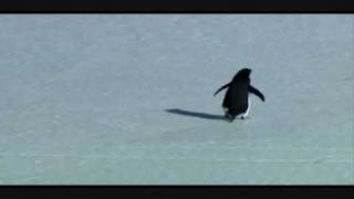 Lonely Deranged Penguin