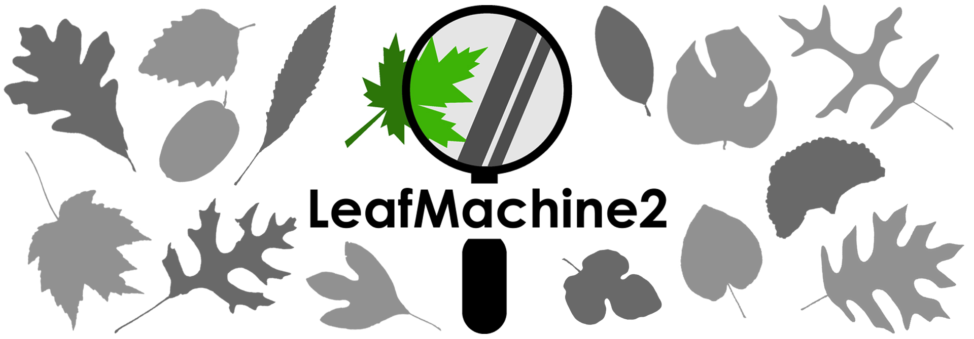 LeafMachine2