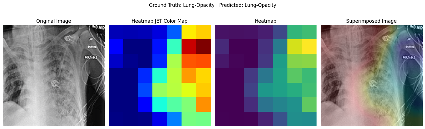 Activation Map Visualisation