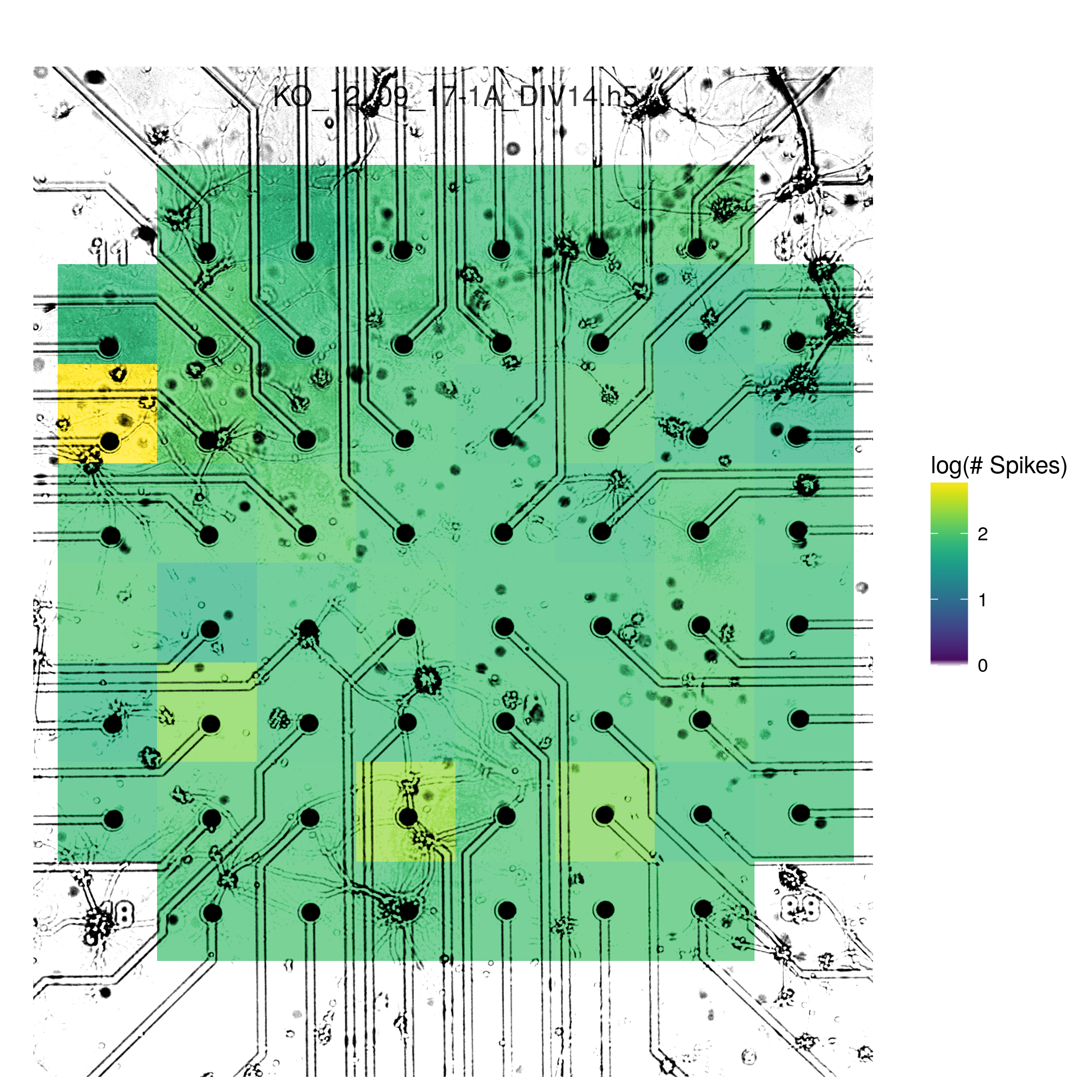 spike count heatmap