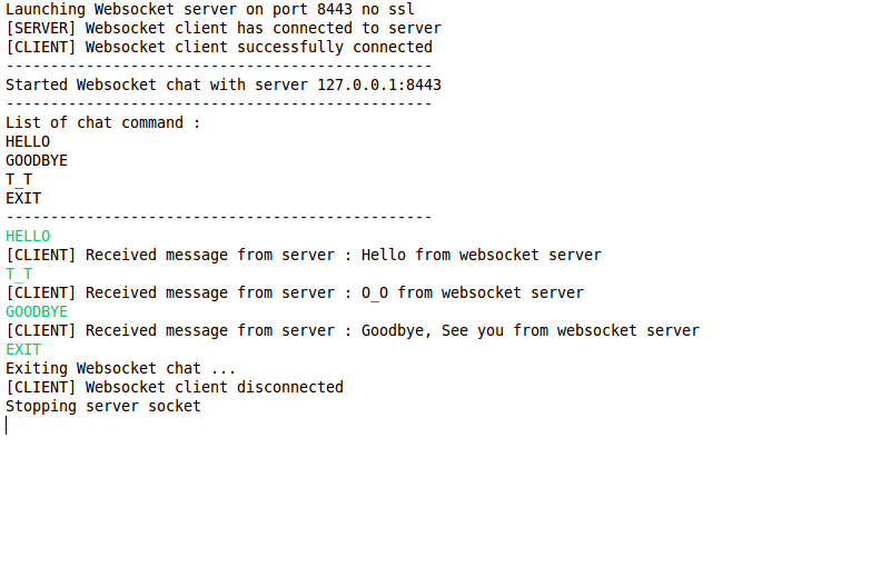 wesocket client exemple