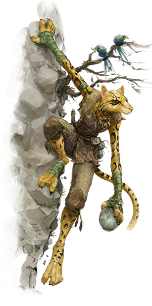 Tabaxi Image