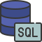 external-sql-coding-and-development-soft-fill-soft-fill-juicy-fish