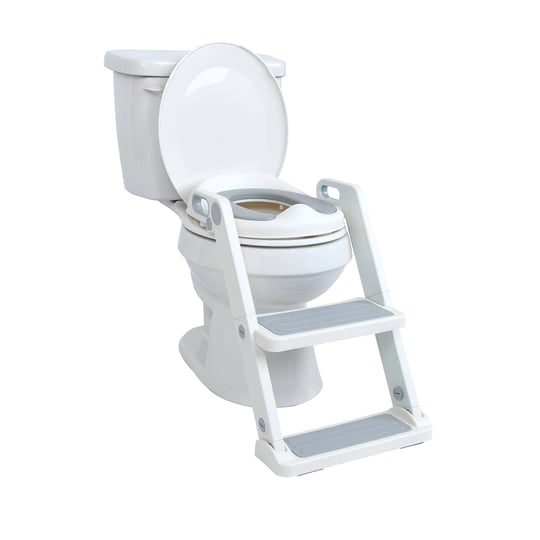 nuby-potty-seat-with-ladder-1