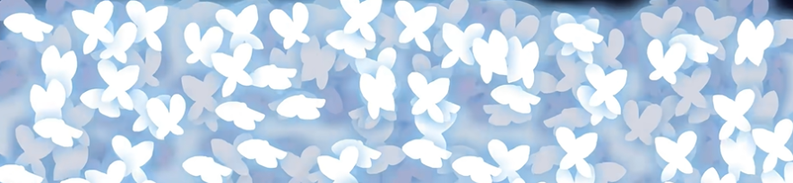 tweet tweet