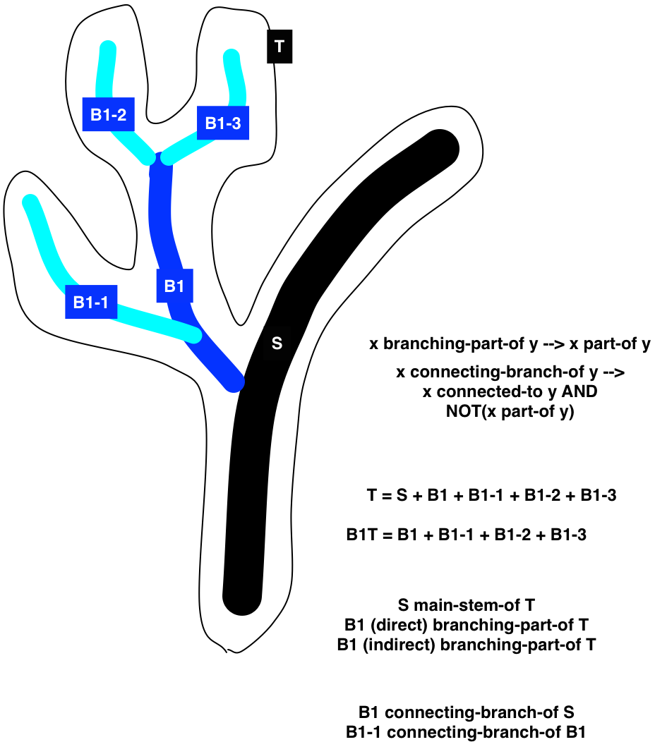 branching-part-of