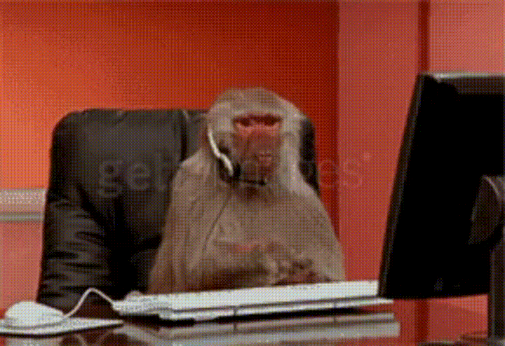 GIF of a monkey using a computer