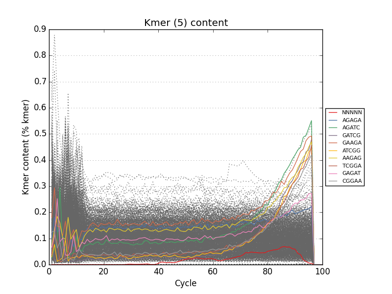 kmer distribution