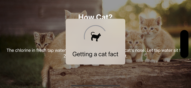 HowCat App Screenshots