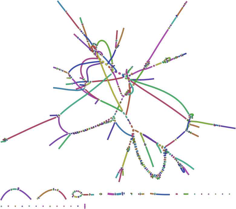 71-mer assembly graph