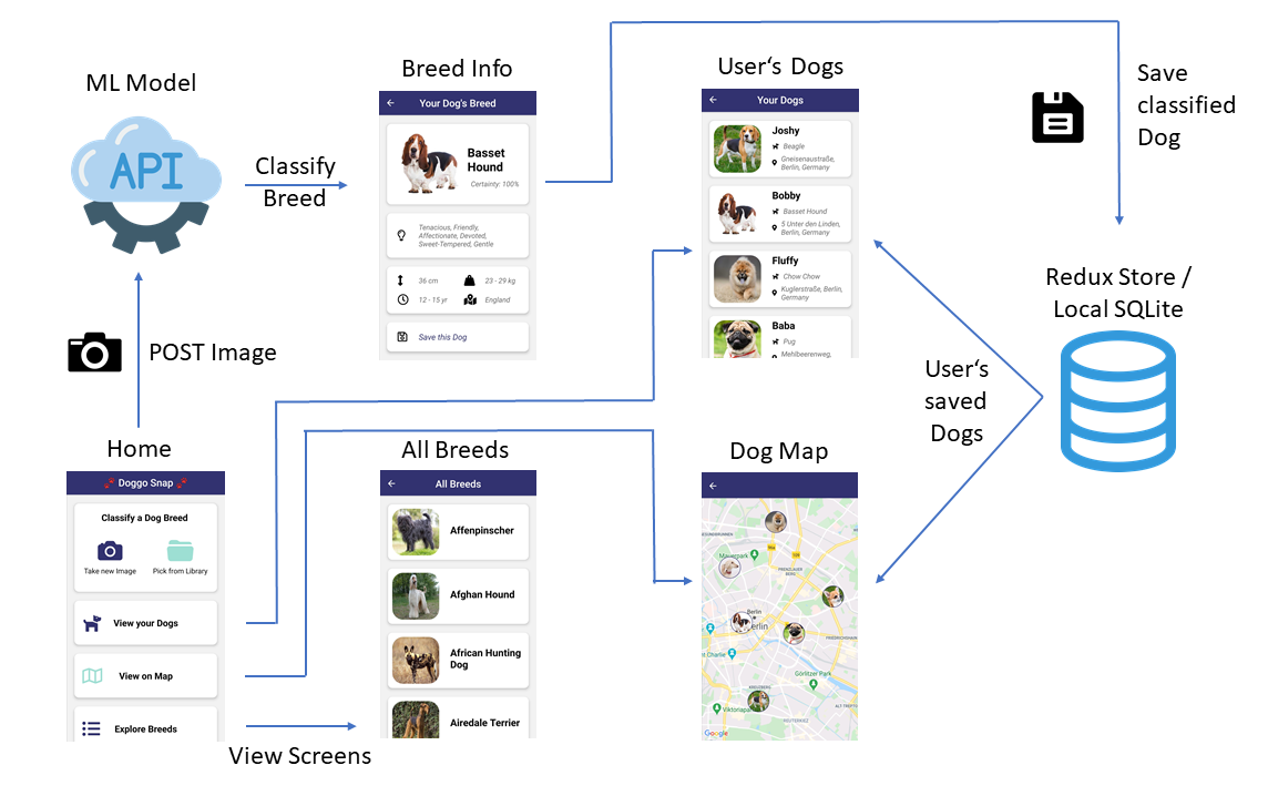 An overview of Doggo Snap's functionality