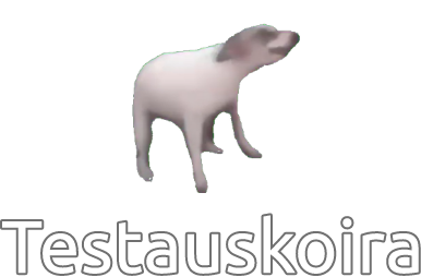 Testauskoira