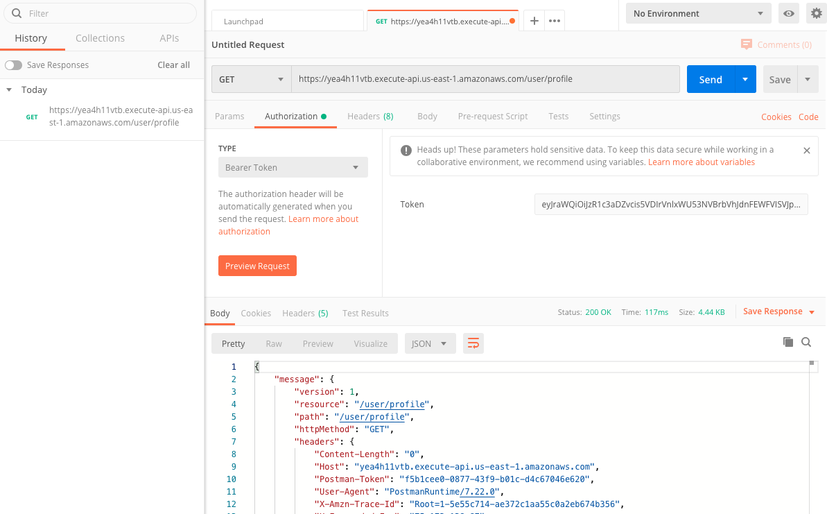 Postman example sending a request with authorization