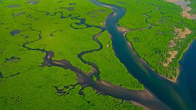 Aerial view of the Amazon River in Brazil (© Curioso.Photography/Shutterstock)