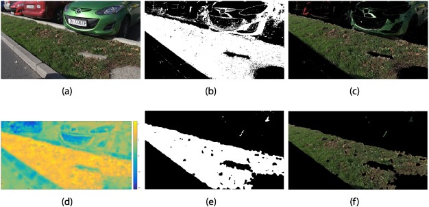 Example of roadside vegetation detection