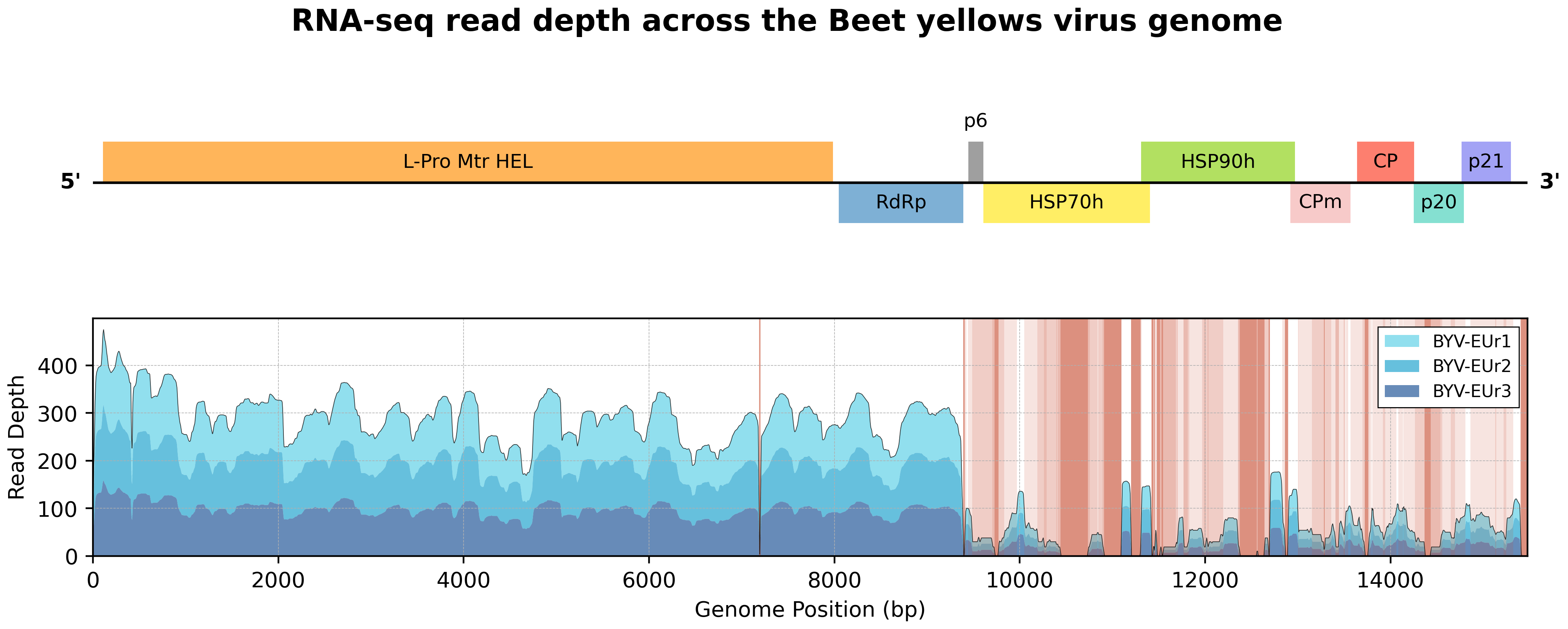RNA-seq read depth across the Beet yellows virus genome